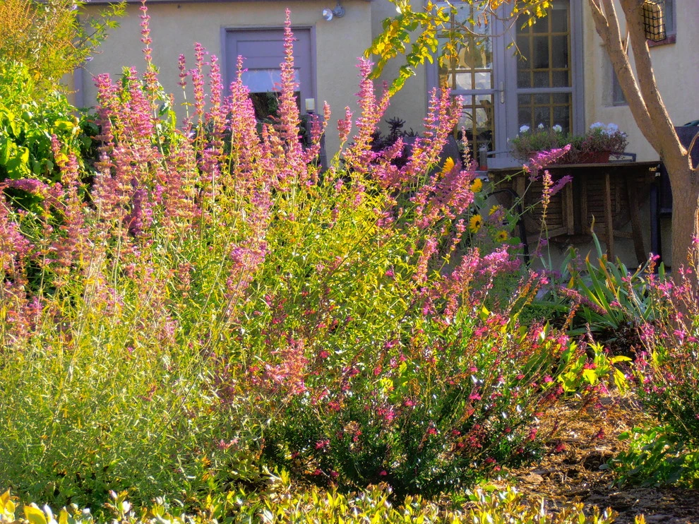 Valley backyard by Waterwise Landscapes Incorporated - Photo 111