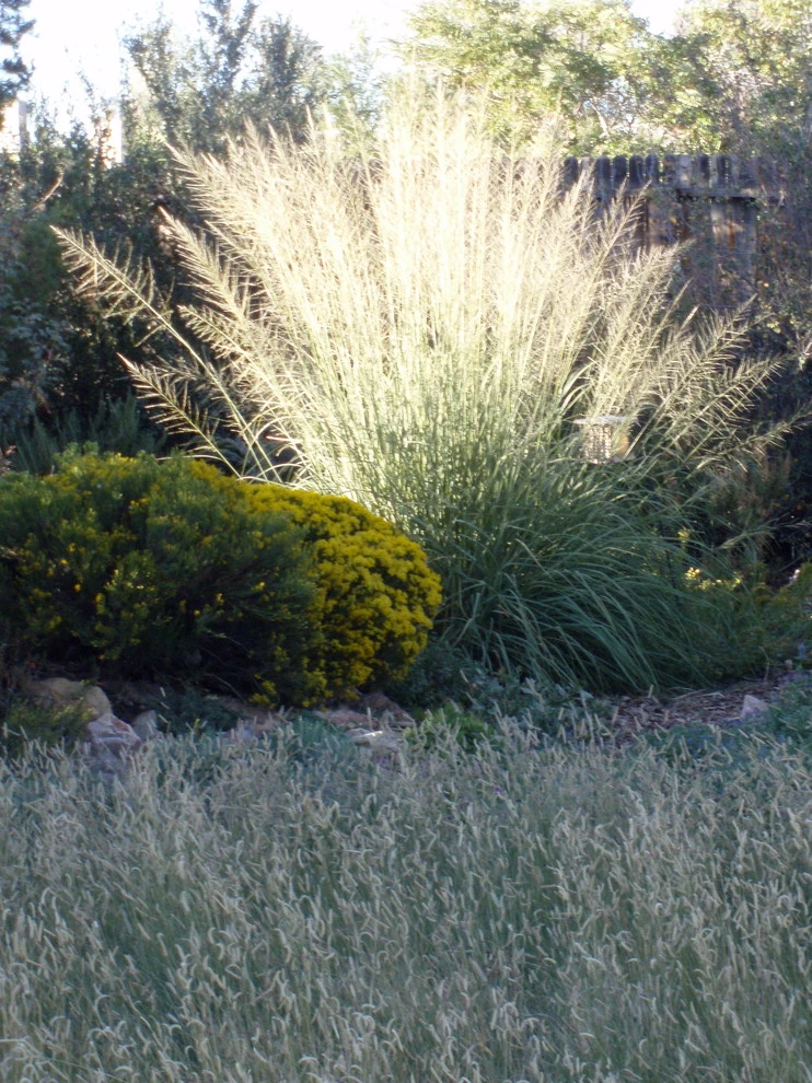 Valley backyard by Waterwise Landscapes Incorporated - Photo 142