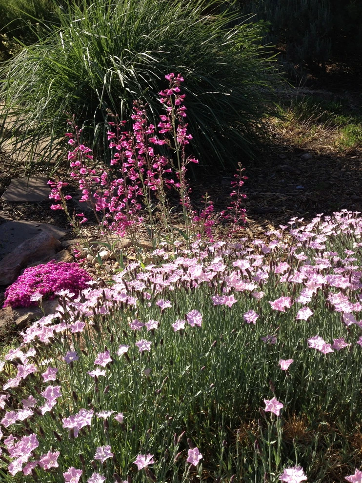 Valley backyard by Waterwise Landscapes Incorporated - Photo 64