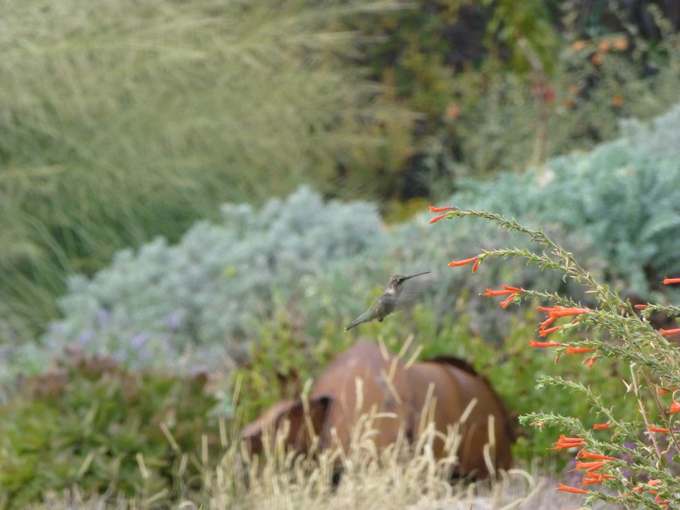 Valley backyard by Waterwise Landscapes Incorporated - Photo 125