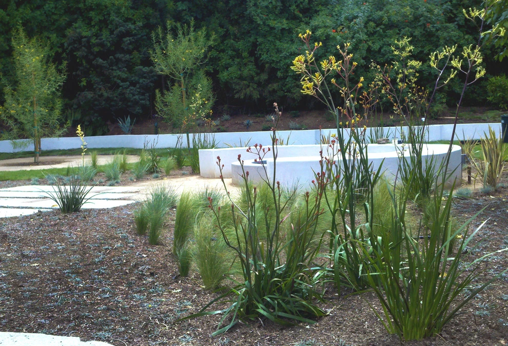 Laurelcrest Drive, Los Angeles by Weeds Garden Design Build LLC - Photo 3