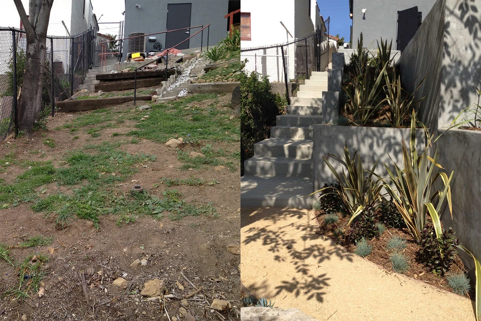 Before & After Around Los Angeles by Weeds Garden Design Build LLC - Photo 4