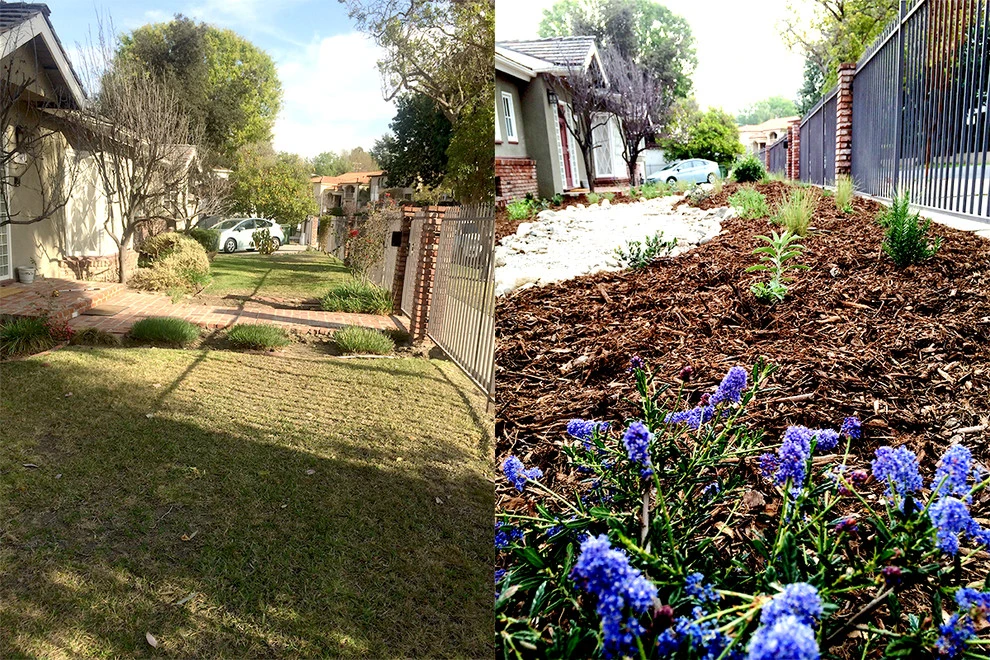 Before & After Around Los Angeles by Weeds Garden Design Build LLC - Photo 9