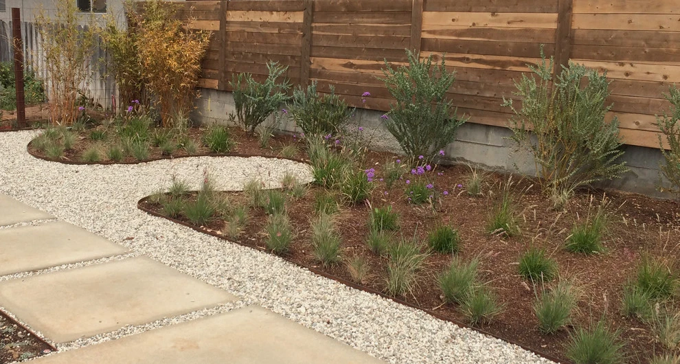 Elm Street, Torrance by Weeds Garden Design Build LLC - Photo 7