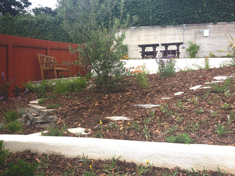 Hyperion Avenue, Silver Lake by Weeds Garden Design Build LLC - Photo 2
