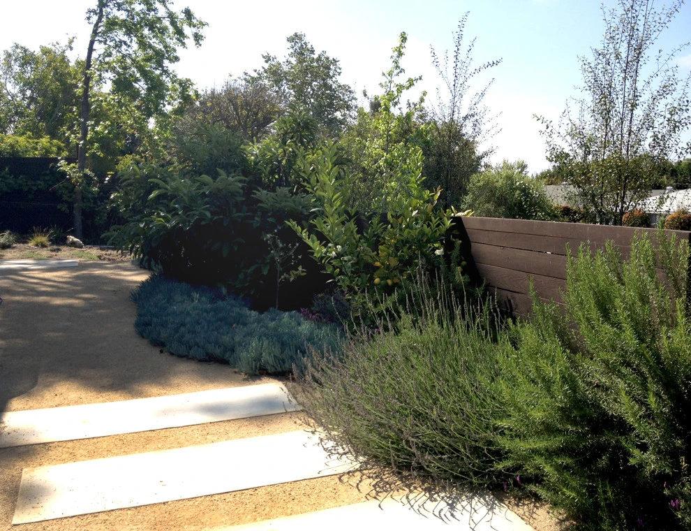 Glendon Avenue, West Los Angeles by Weeds Garden Design Build LLC - Photo 4