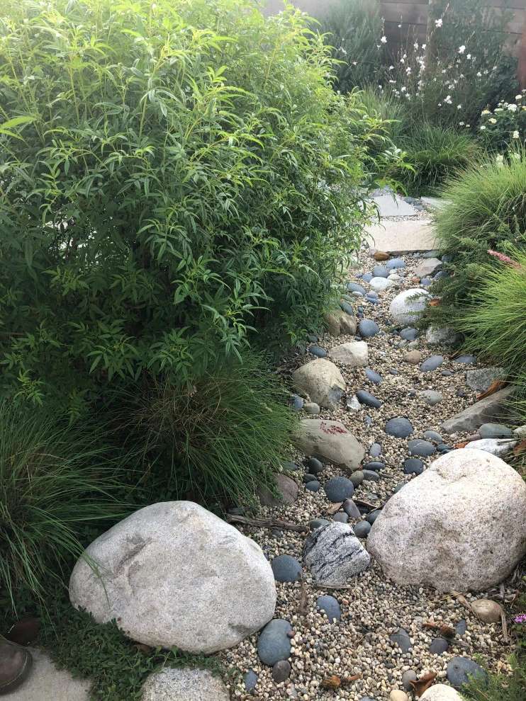 Chase Avenue, Culver City by Weeds Garden Design Build LLC - Photo 4