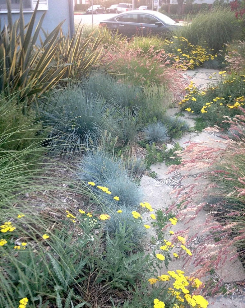 Washington Place, Culver City by Weeds Garden Design Build LLC - Photo 3