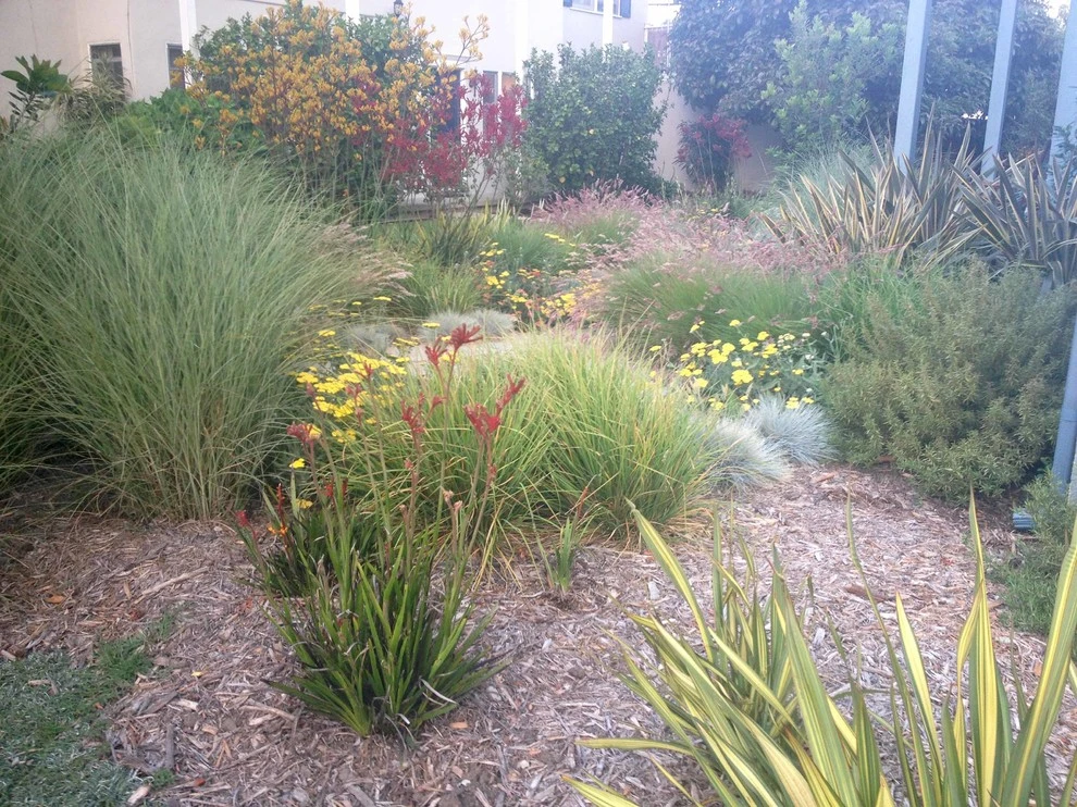 Washington Place, Culver City by Weeds Garden Design Build LLC - Photo 5