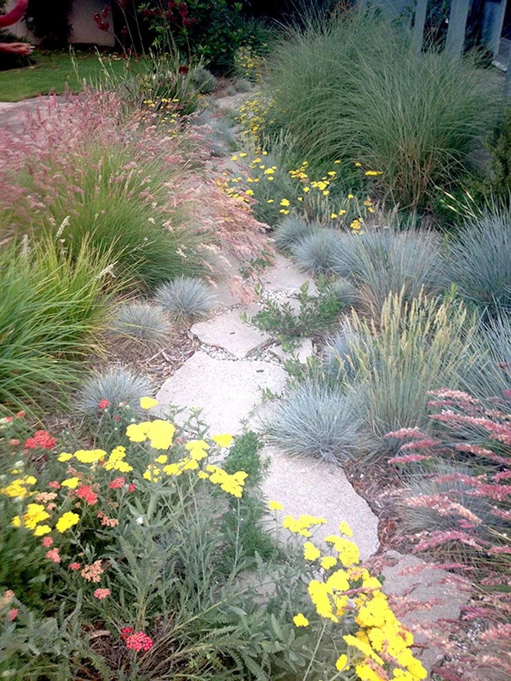 Washington Place, Culver City by Weeds Garden Design Build LLC - Photo 4
