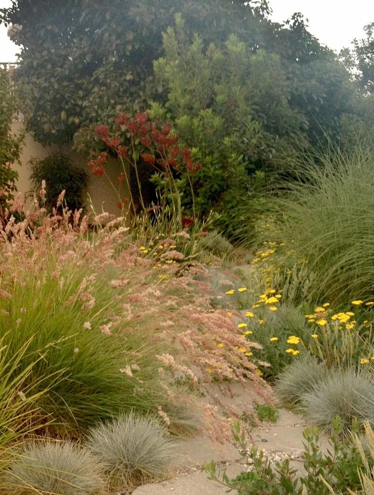 Washington Place, Culver City by Weeds Garden Design Build LLC - Photo 7