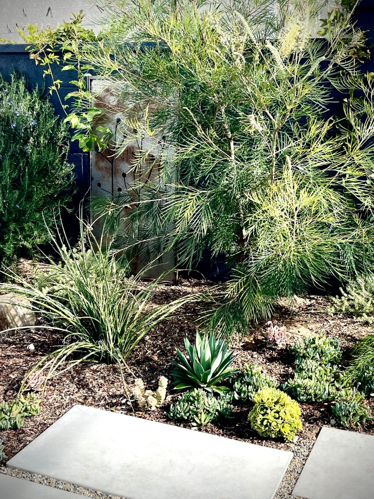 23rd Street, Manhattan Blvd by Weeds Garden Design Build LLC - Photo 7