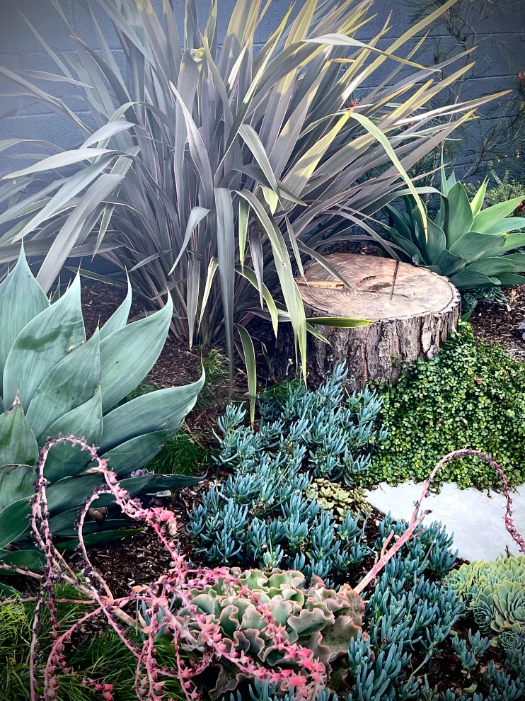 23rd Street, Manhattan Blvd by Weeds Garden Design Build LLC - Photo 11