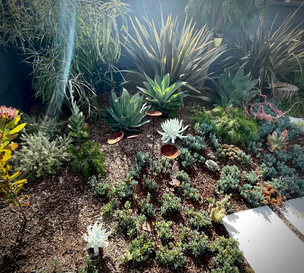 Weeds Garden Design Build LLC - Photo 13