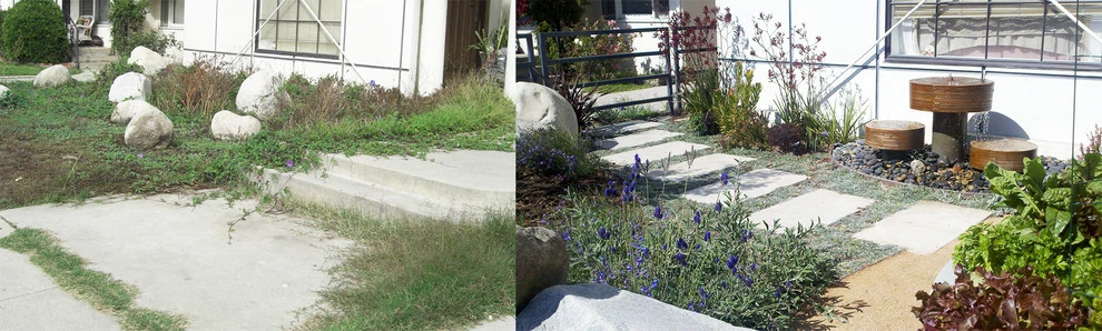 Before & After Around Los Angeles by Weeds Garden Design Build LLC - Photo 10