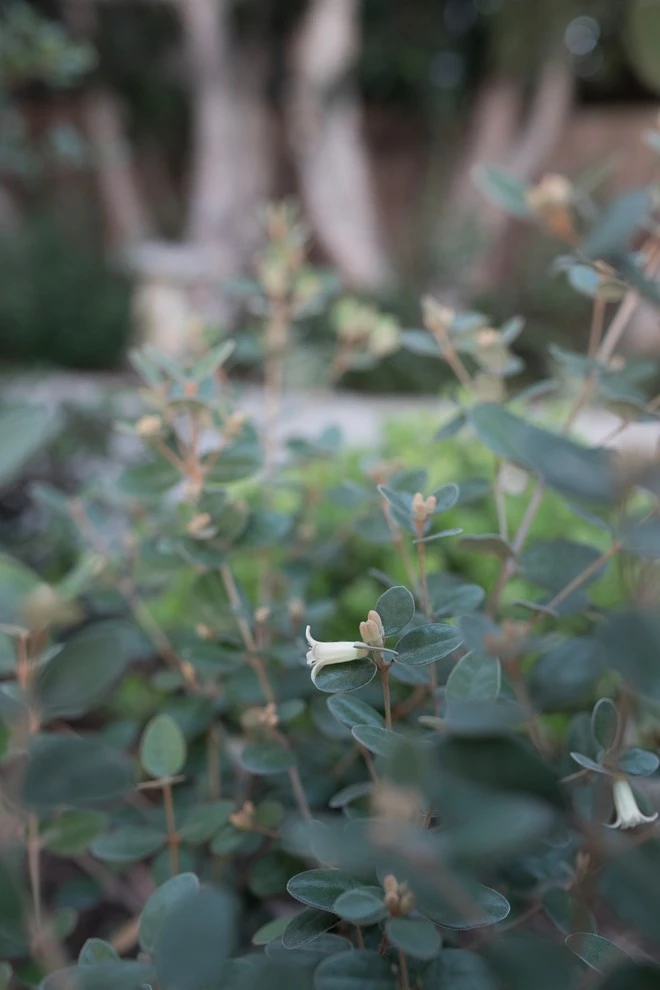Weeds Garden Design Build LLC - Photo 8