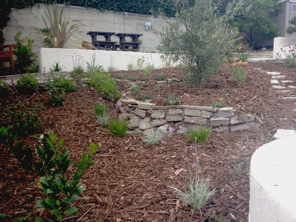 Hyperion Avenue, Silver Lake by Weeds Garden Design Build LLC - Photo 5
