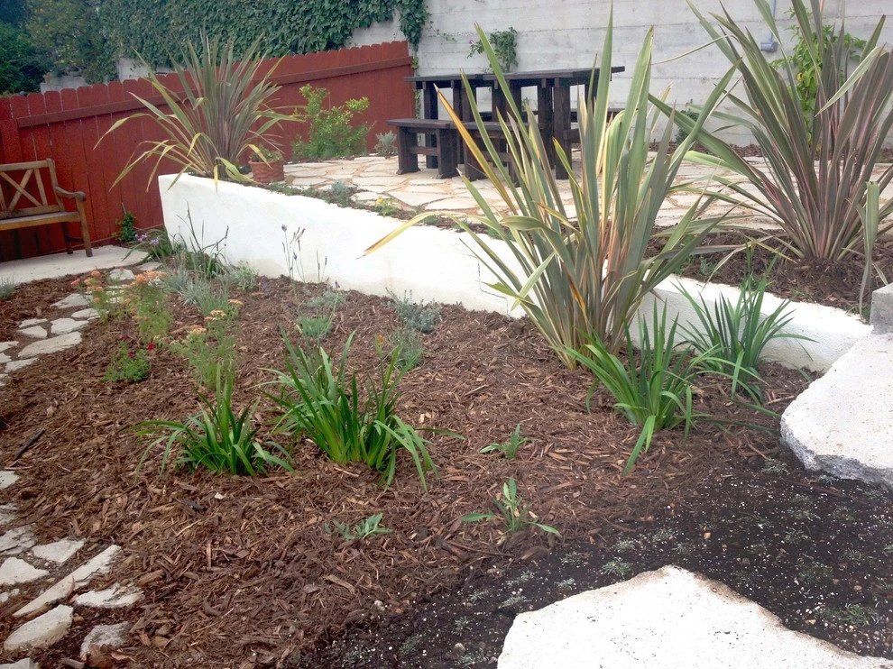 Hyperion Avenue, Silver Lake by Weeds Garden Design Build LLC - Photo 3