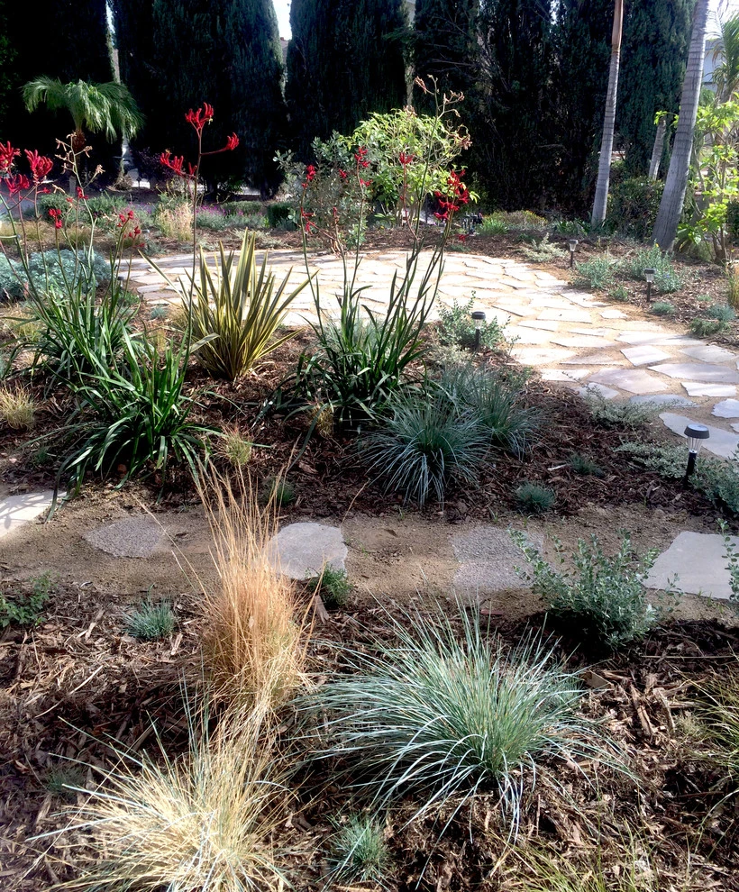 Mallot Place, Granada HIlls by Weeds Garden Design Build LLC - Photo 4