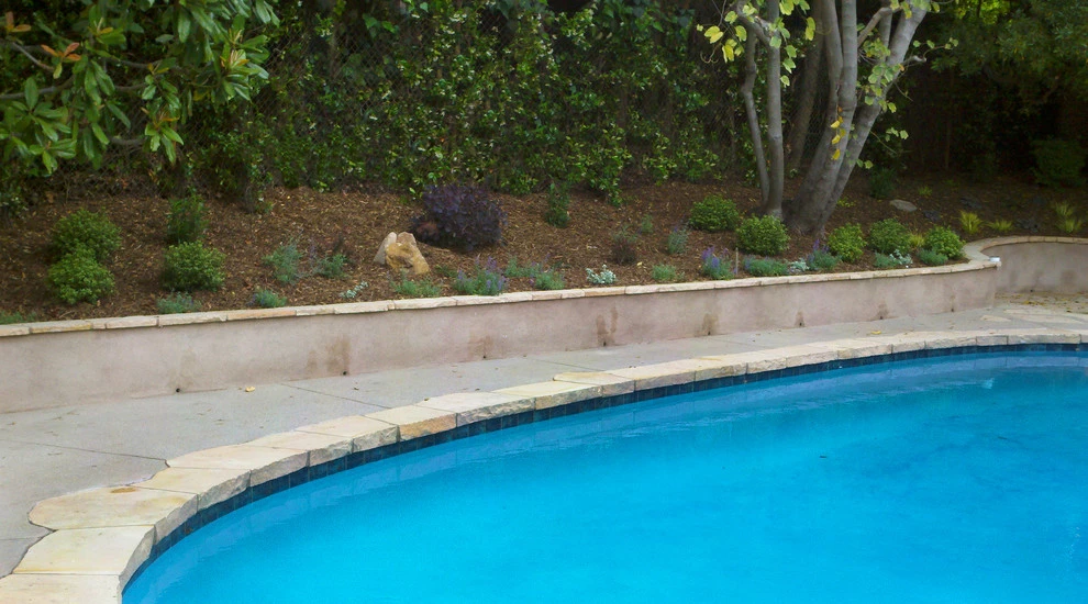 Corsica Drive, Pacific Palisades by Weeds Garden Design Build LLC - Photo 4