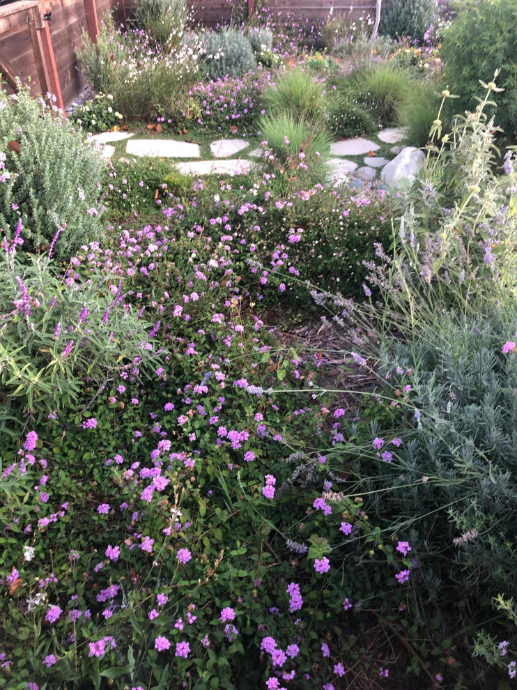 Weeds Garden Design Build LLC - Photo 11