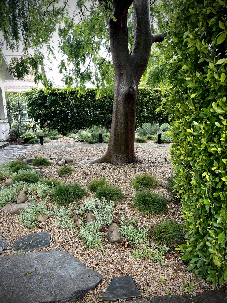 Arden Blvd, Hancock Park by Weeds Garden Design Build LLC - Photo 6