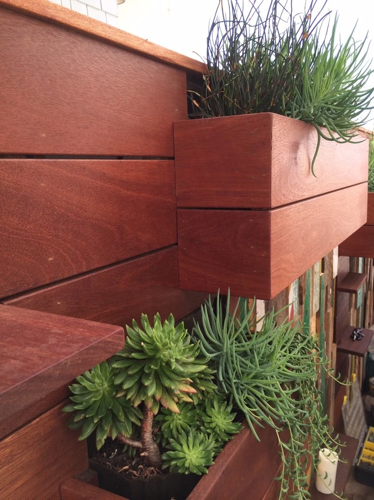 Ocean Front Walk, Marina del Rey by Weeds Garden Design Build LLC - Photo 6