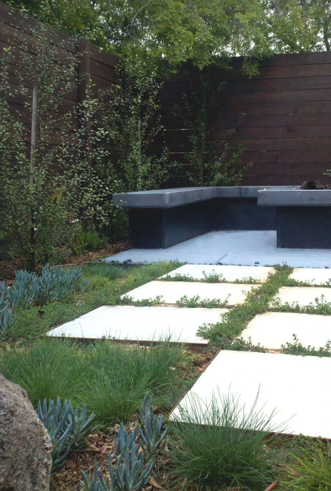 Glendon Avenue, West Los Angeles by Weeds Garden Design Build LLC - Photo 8