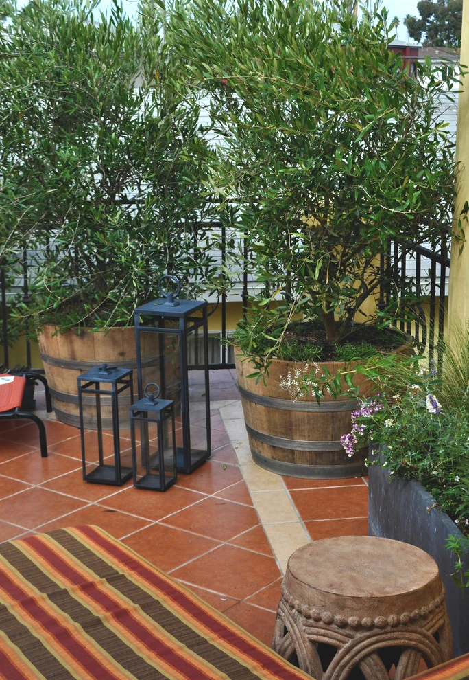 Oxford Street, Marina del Rey by Weeds Garden Design Build LLC - Photo 3