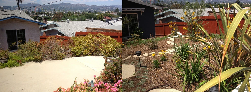 Before & After Around Los Angeles by Weeds Garden Design Build LLC - Photo 11