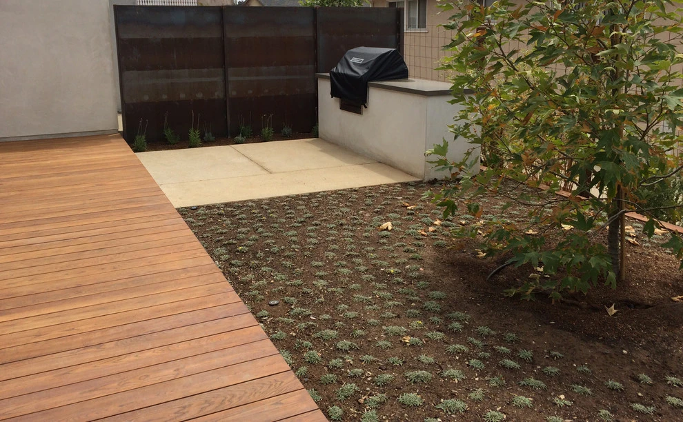 Elm Street, Torrance by Weeds Garden Design Build LLC - Photo 5