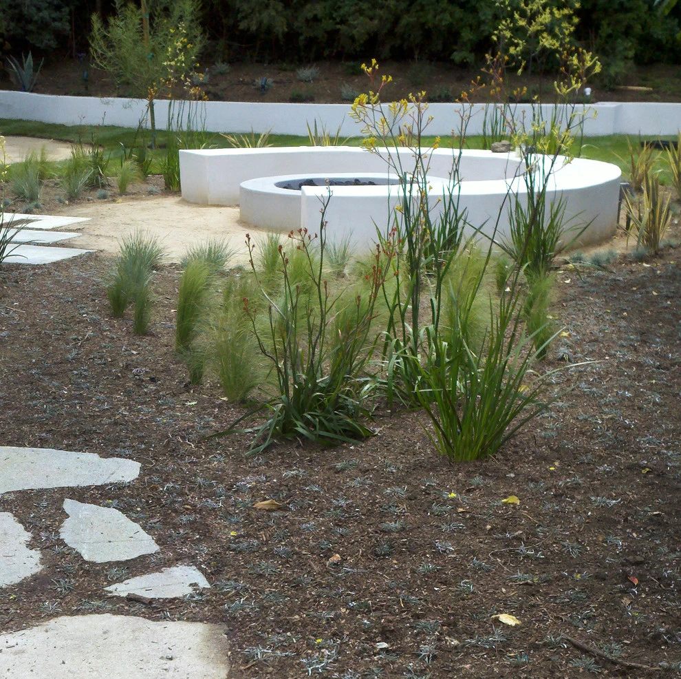 Laurelcrest Drive, Los Angeles by Weeds Garden Design Build LLC - Photo 4