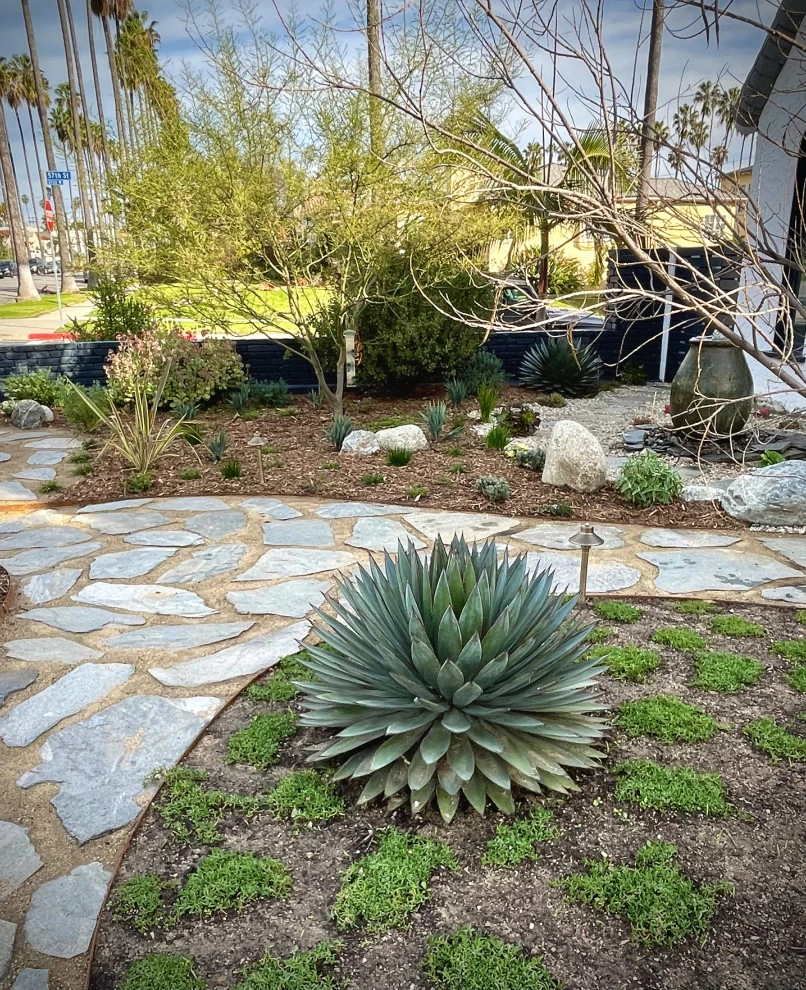 Rimpau Blvd, Los Angeles by Weeds Garden Design Build LLC - Photo 11