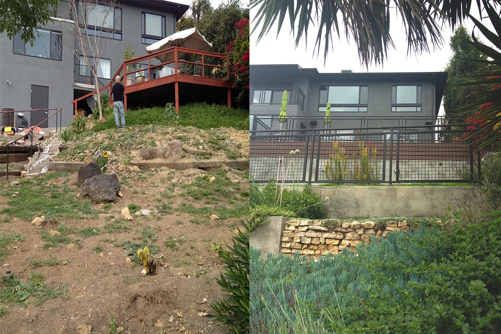 Before & After Around Los Angeles by Weeds Garden Design Build LLC - Photo 12