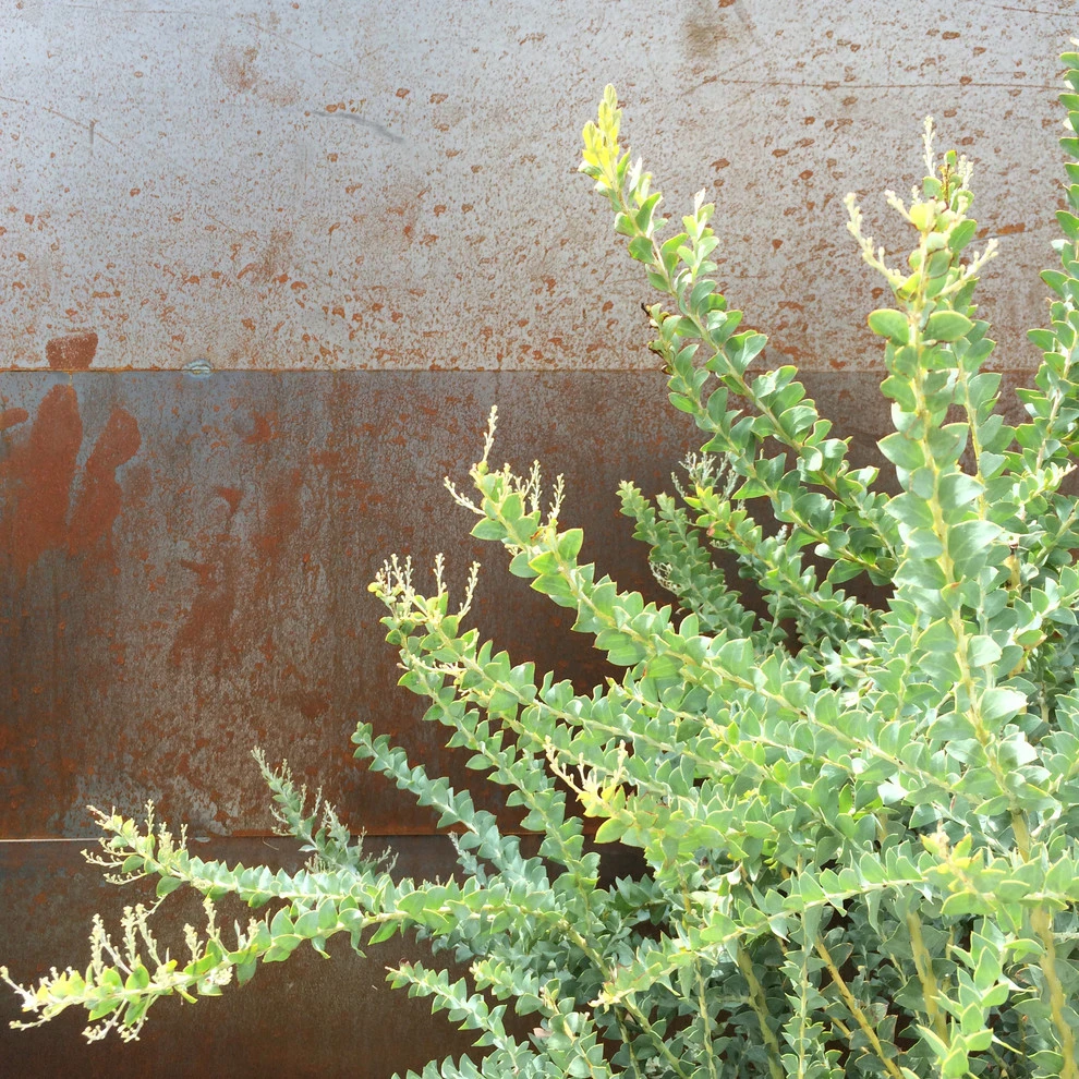 Weeds Garden Design Build LLC - Photo 10