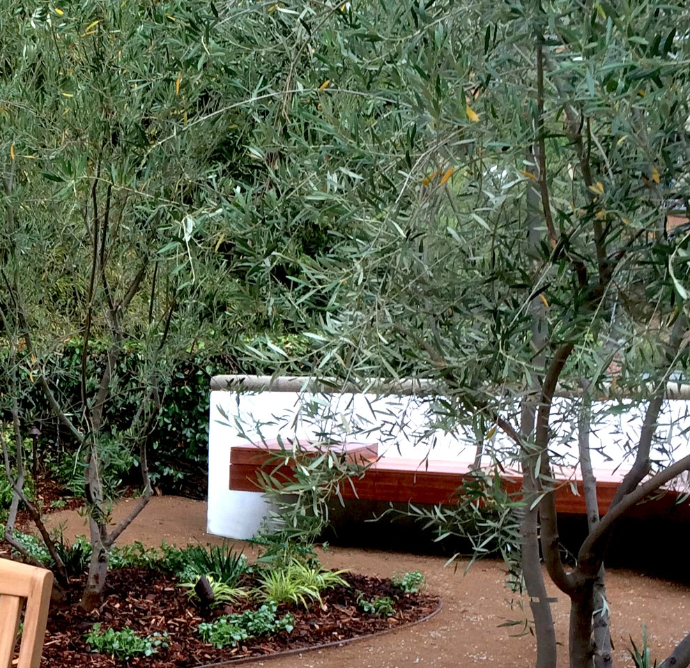 Weidlake Drive, Hollywood by Weeds Garden Design Build LLC - Photo 7