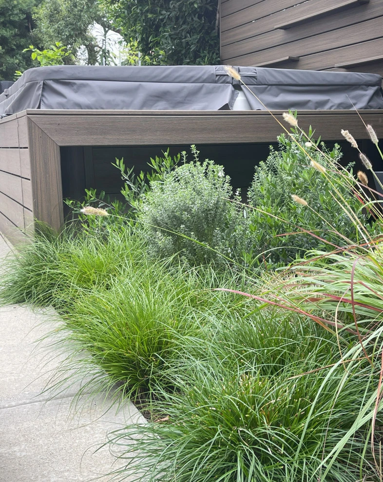 Wade Street. Mar Vista by Weeds Garden Design Build LLC - Photo 6