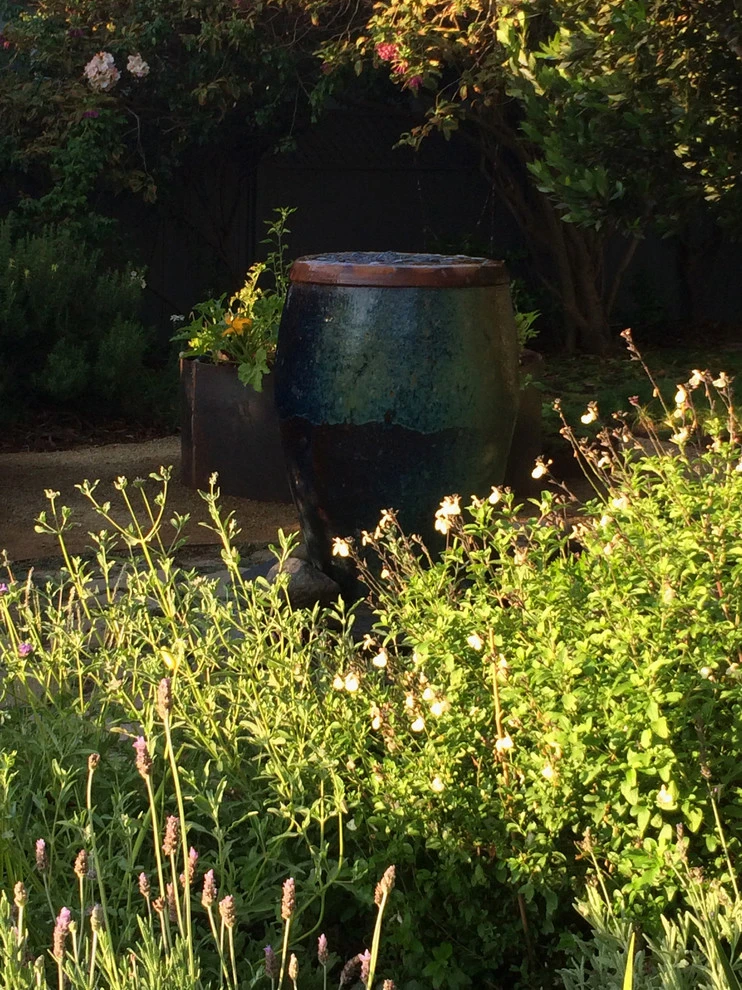 Veteran Avenue, Mar Vista by Weeds Garden Design Build LLC - Photo 27
