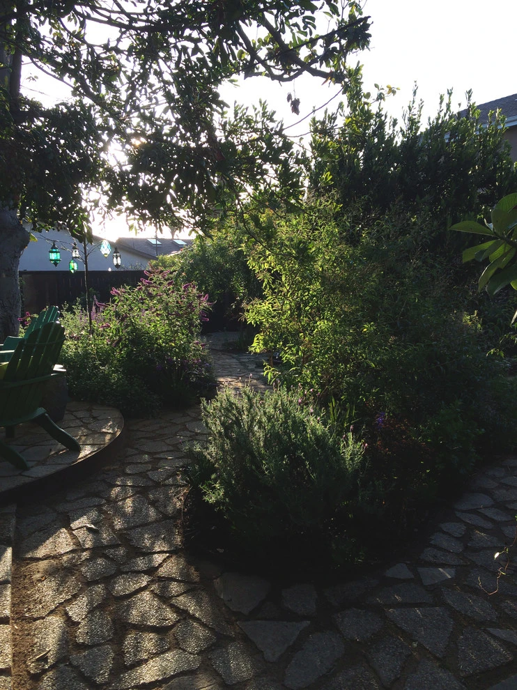 Veteran Avenue, Mar Vista by Weeds Garden Design Build LLC - Photo 22