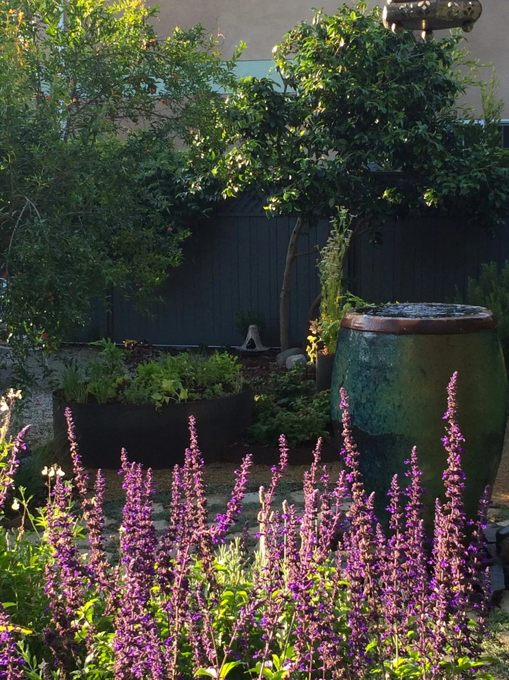 Veteran Avenue, Mar Vista by Weeds Garden Design Build LLC - Photo 7