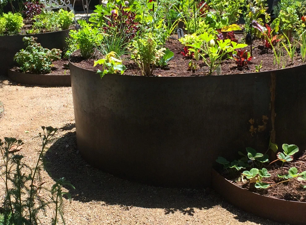 Veteran Avenue, Mar Vista by Weeds Garden Design Build LLC - Photo 5