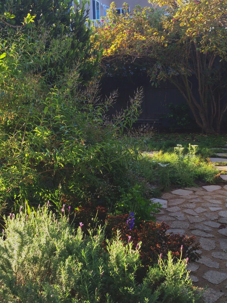 Veteran Avenue, Mar Vista by Weeds Garden Design Build LLC - Photo 20