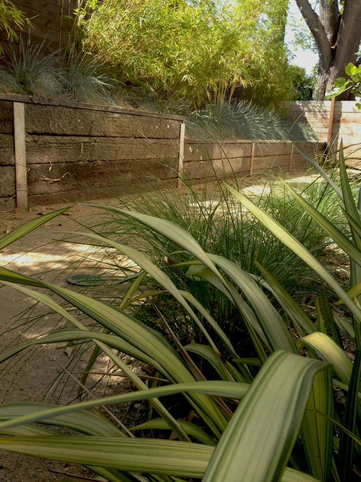 Glendon Avenue, West Los Angeles by Weeds Garden Design Build LLC - Photo 10