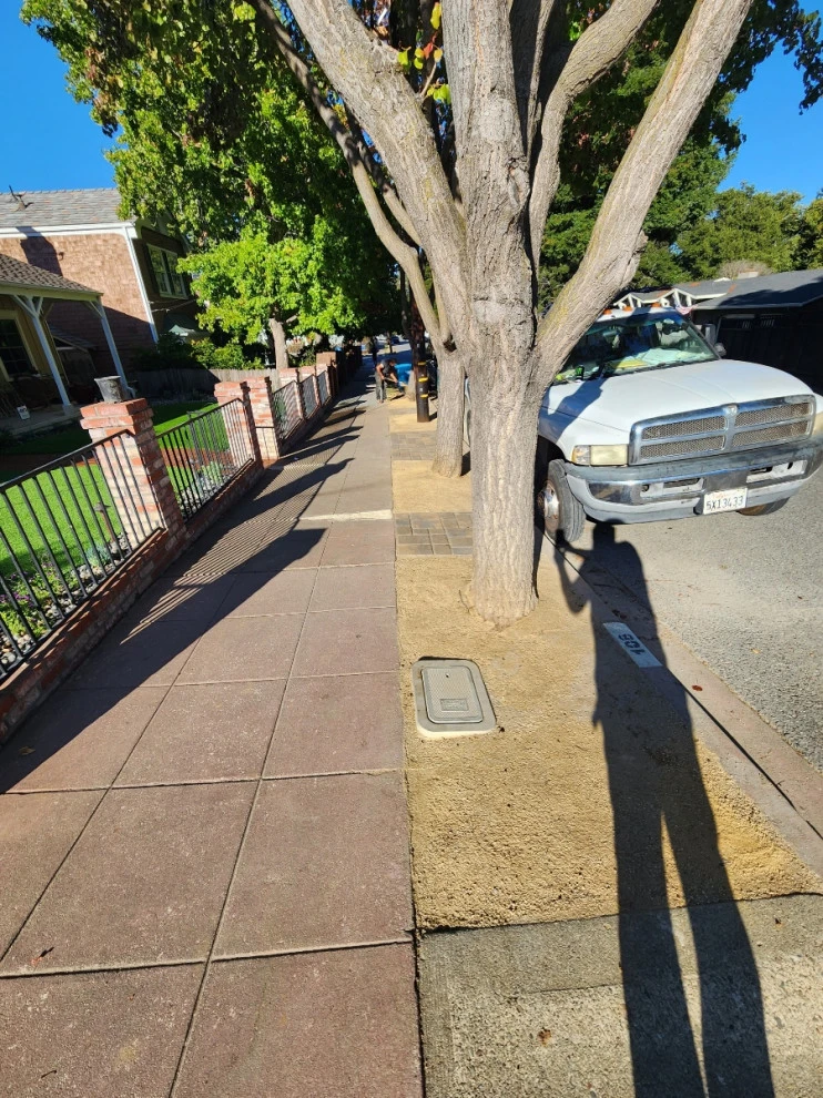 San Carlos front yard upgrade. by Westcoast Hardscape - Photo 3