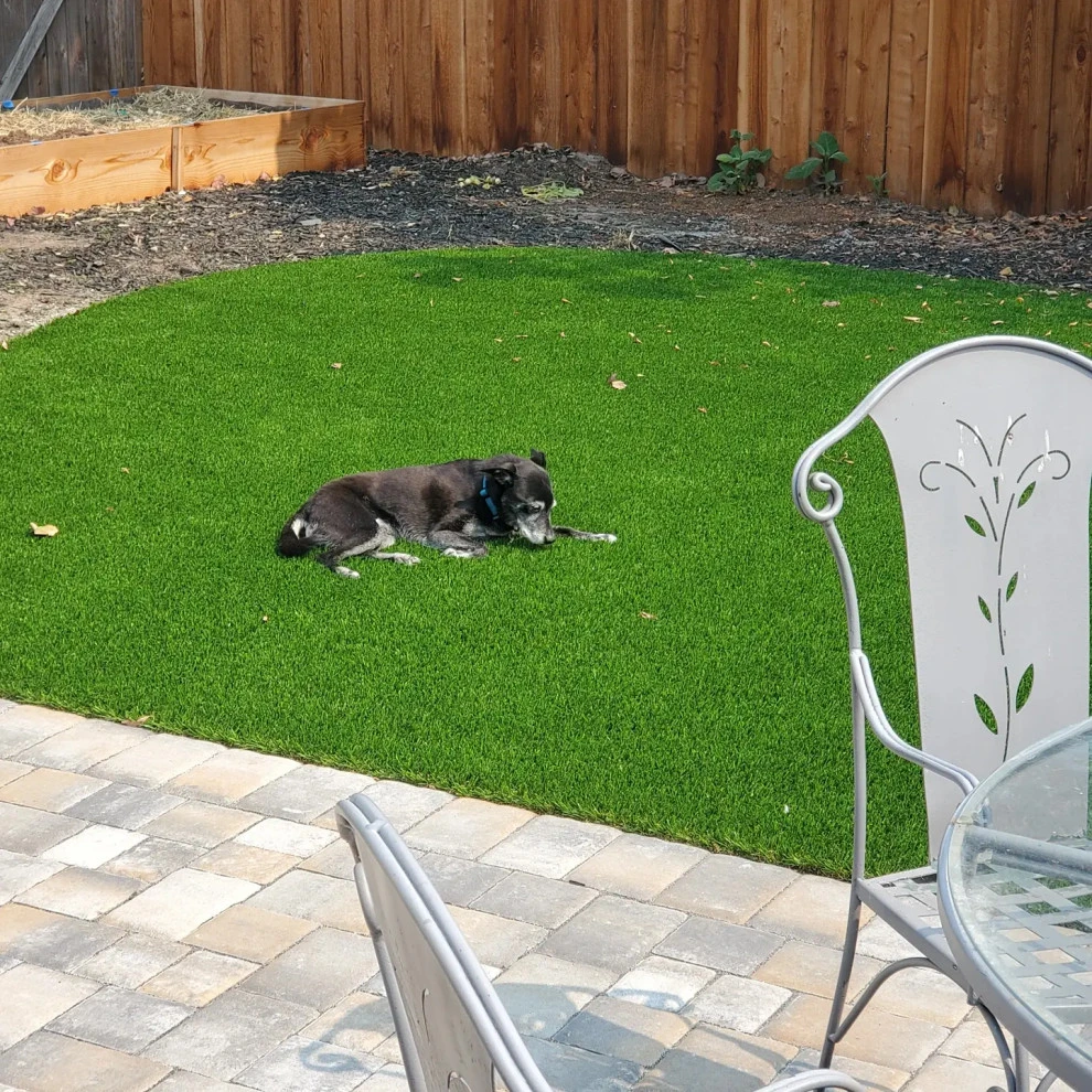 Oakland front and backyard upgrade by Westcoast Hardscape - Photo 2