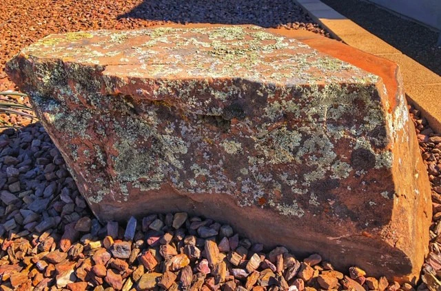 Maser Walden Farms by Yavapai Landscaping - Photo 7