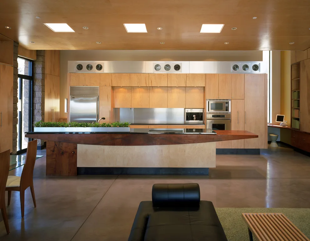 Downing Home by Ibarra Rosano Design Architects - Photo 6