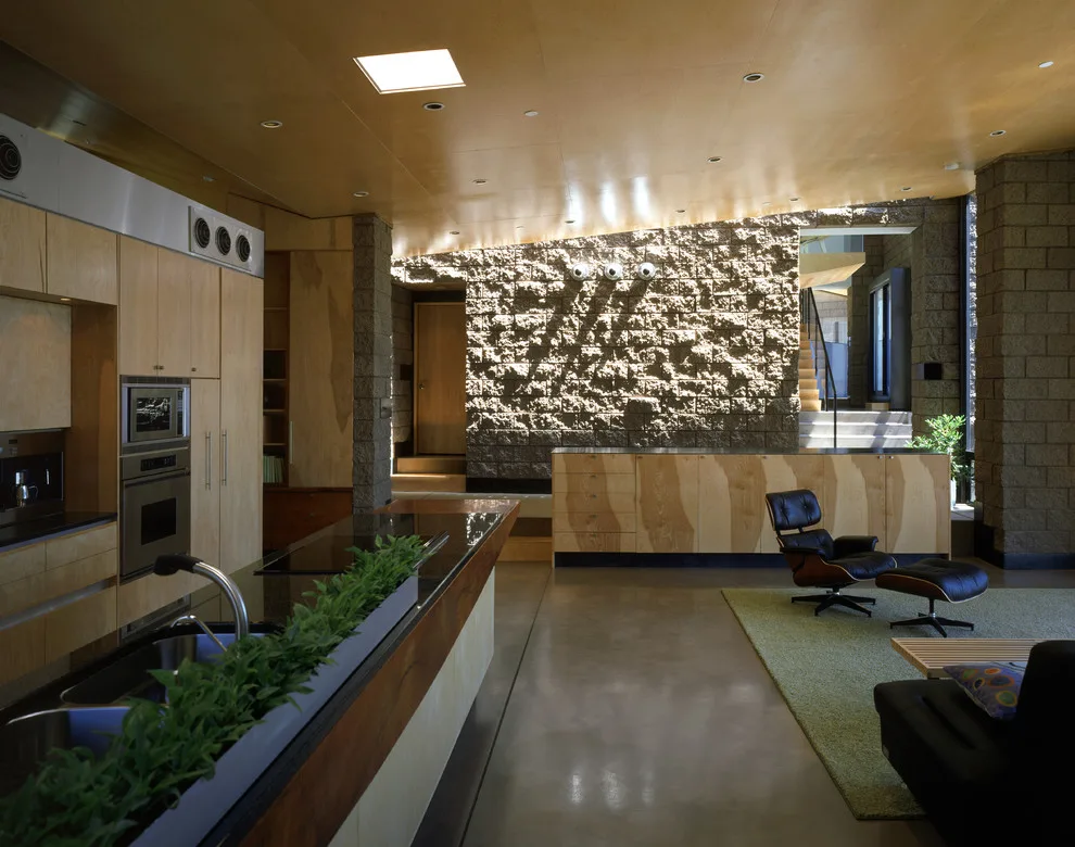 Downing Home by Ibarra Rosano Design Architects - Photo 8