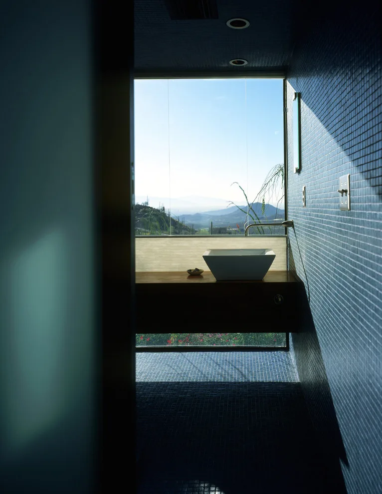 Downing Home by Ibarra Rosano Design Architects - Photo 4