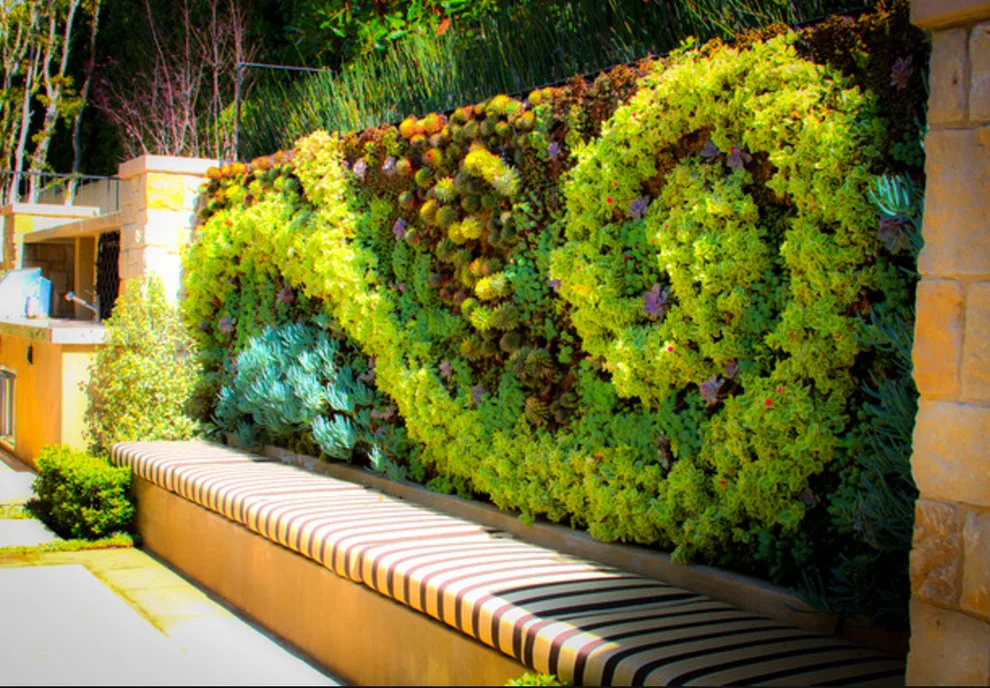 Sustainable Lawn Design by Lauri Matisse Architect - Photo 3